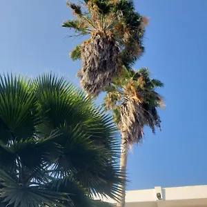 Sea Shell Palms, Bed & Breakfast